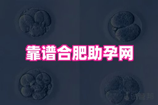 试管助孕网站 3