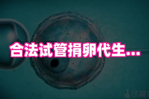 试管助孕网站 4